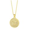 Vergulde ketting met Tweeling sterrenbeeld hanger