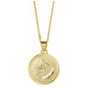 Vergulde ketting met Leeuw sterrenbeeld hanger