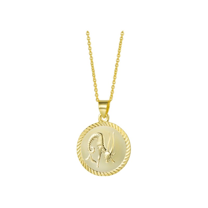 Vergulde ketting met Steeenbok sterrenbeeld hanger