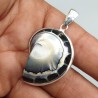 925 Sterling zilveren hanger zwarte Nautilus schelp