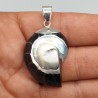 925 Sterling zilveren hanger met zwarte Nautilus schelp