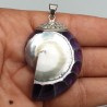 925 Sterling zilveren hanger paarse Nautilus schelp