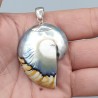 Zilveren hanger met Nautilus schelp