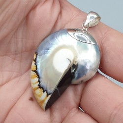 Zilveren hanger met Nautilus schelp