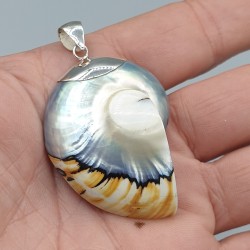 Zilveren hanger met Nautilus schelp