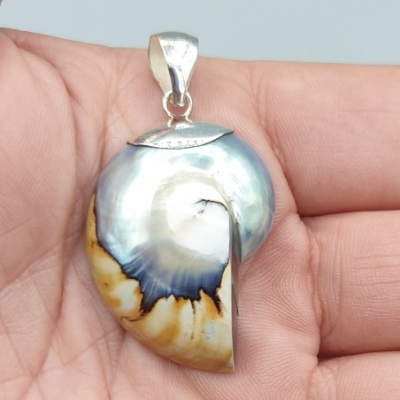 Zilveren hanger Nautilus schelp
