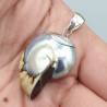 Zilveren hanger Nautilus schelp
