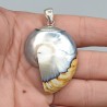 925 Sterling zilveren Nautilus schelp hanger