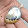 925 Sterling zilveren Nautilus schelp hanger