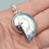 Zilveren Nautilus schelp hanger