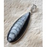 Zilveren edelsteen hanger met Orhoceras fossiel