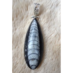 Zilveren edelsteen hanger met Orhoceras fossiel