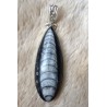 Zilveren edelsteen hanger met Orhoceras fossiel