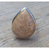 Zilveren ring gezet met druppelvorm Fossiel Koraal 19 mm