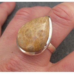 Zilveren ring gezet met druppelvorm Fossiel Koraal 19 mm
