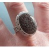 Zilveren ring ovale Dinosausus in bewerkte setting maat 19 mm