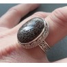 Zilveren ring ovale Dinosausus in bewerkte setting maat 19 mm