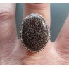Zilveren ring ovale Dinosausus in bewerkte setting maat 19 mm