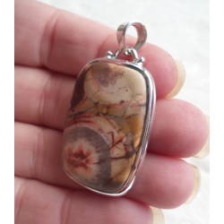 Zilveren hanger gezet met rechthoekige Birds Eye Jaspis