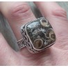 Zilveren ring met Turitella in bewerkte setting maat 19 mm