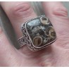 Zilveren ring met Turitella in bewerkte setting maat 19 mm