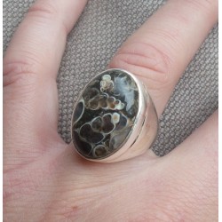 Zilveren ring gezet met Turitella Agaat maat 17.7 mm