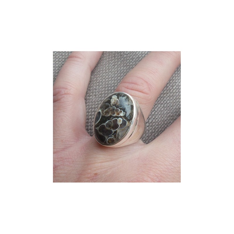 Zilveren ring gezet met Turitella Agaat maat 17.7 mm