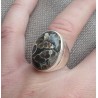 Zilveren ring gezet met Turitella Agaat maat 17.7 mm