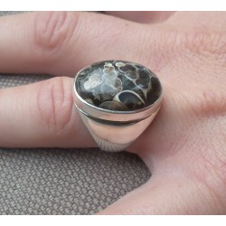 Zilveren ring gezet met Turitella Agaat maat 17.7 mm