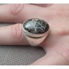 Zilveren ring gezet met Turitella Agaat maat 17.7 mm