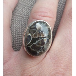 Zilveren ring gezet met Turitella Agaat maat 17.7 mm