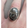 Zilveren ring gezet met Turitella Agaat maat 17.7 mm