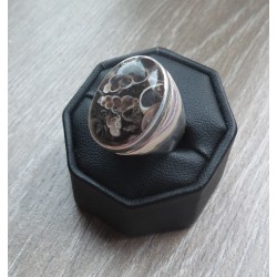Zilveren ring gezet met Turitella Agaat maat 17.7 mm