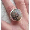 Zilveren ring gezet met ronde Luipaard Jaspis maat 17 mm
