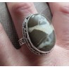 Zilveren ring met Septaria gezet in bewerkte setting 18.5 mm