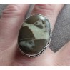 Zilveren ring met Septaria gezet in bewerkte setting 18.5 mm