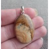 Zilveren hanger gezet met ovale Landschap Jaspis