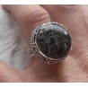 Zilveren ring ronde Turitella Agaat in bewerkte setting 17 mm