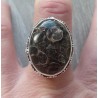 Zilveren ring met Turitella Agaaat in bewerkte setting 18.7 mm