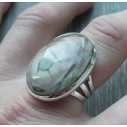 Zilveren ring gezet met facet Imperial Jaspis 17.3