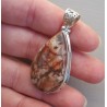 Zilveren hanger gezet met druppelvormige Birds Eye Jaspis
