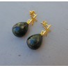 Oorbellen met zeester en Emerald briolet