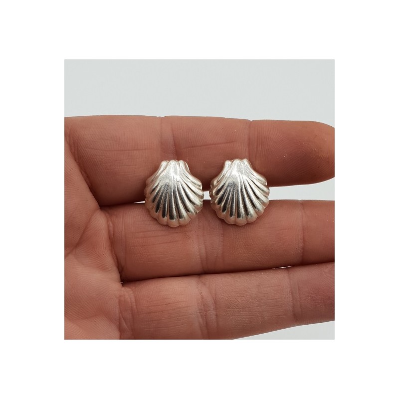 Zilveren oorknoppen schelp