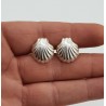 Zilveren oorknoppen schelp