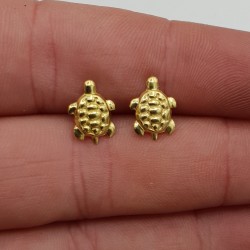 Vergulde schildpad oorknoppen