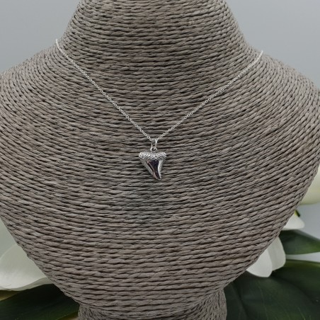 Zilveren ketting met haaientand hanger