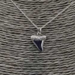 Zilveren ketting met haaientand hanger