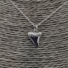 Zilveren ketting met haaientand hanger
