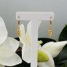 Vergulde oorbellen met zeepaard hanger