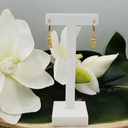 Vergulde oorbellen met zeepaard hanger